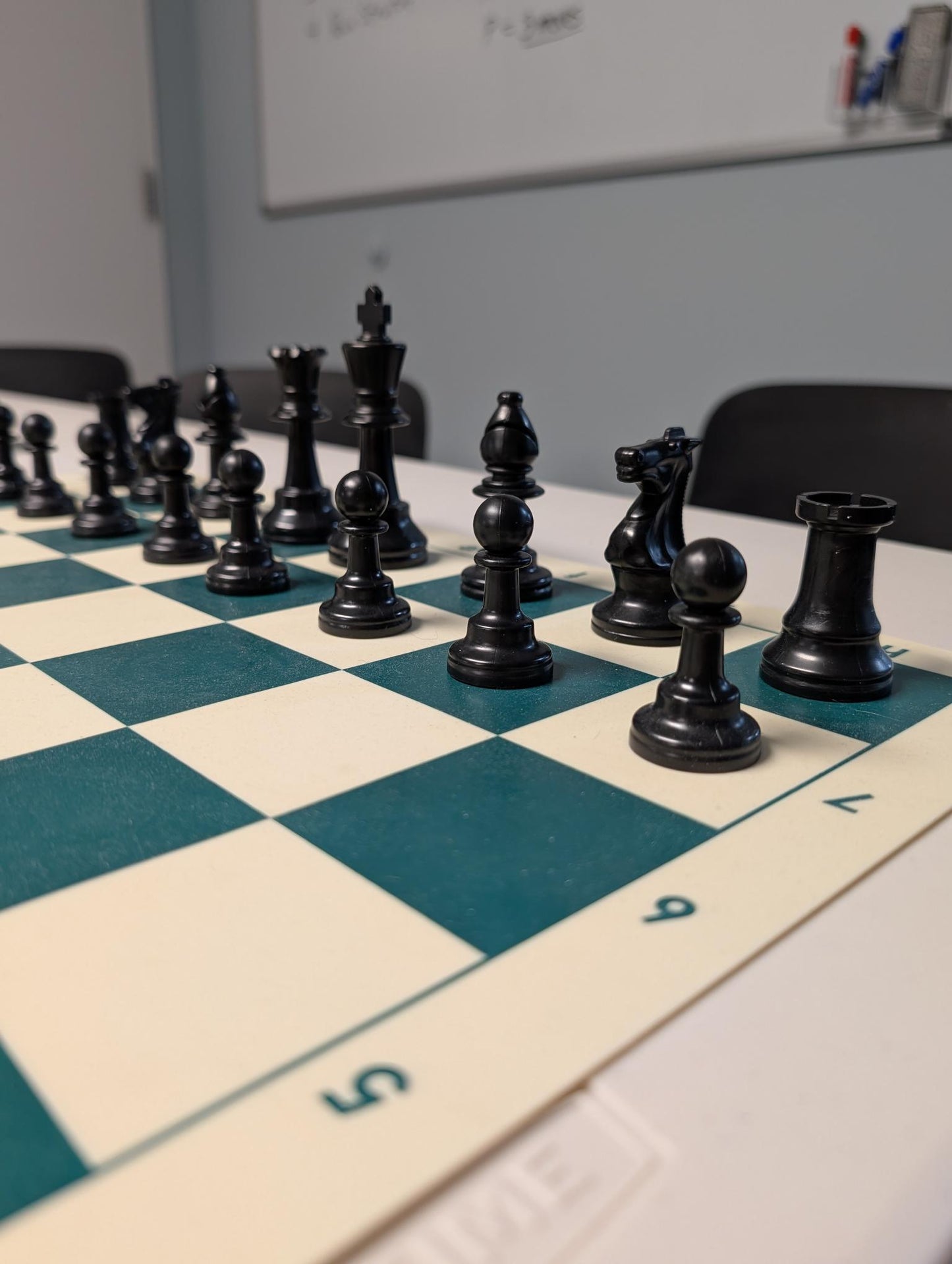 Regulation Chess Pieces